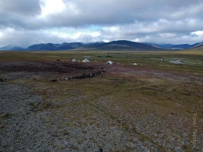 Стадо и яранги