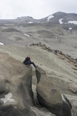 Лиса на аскье