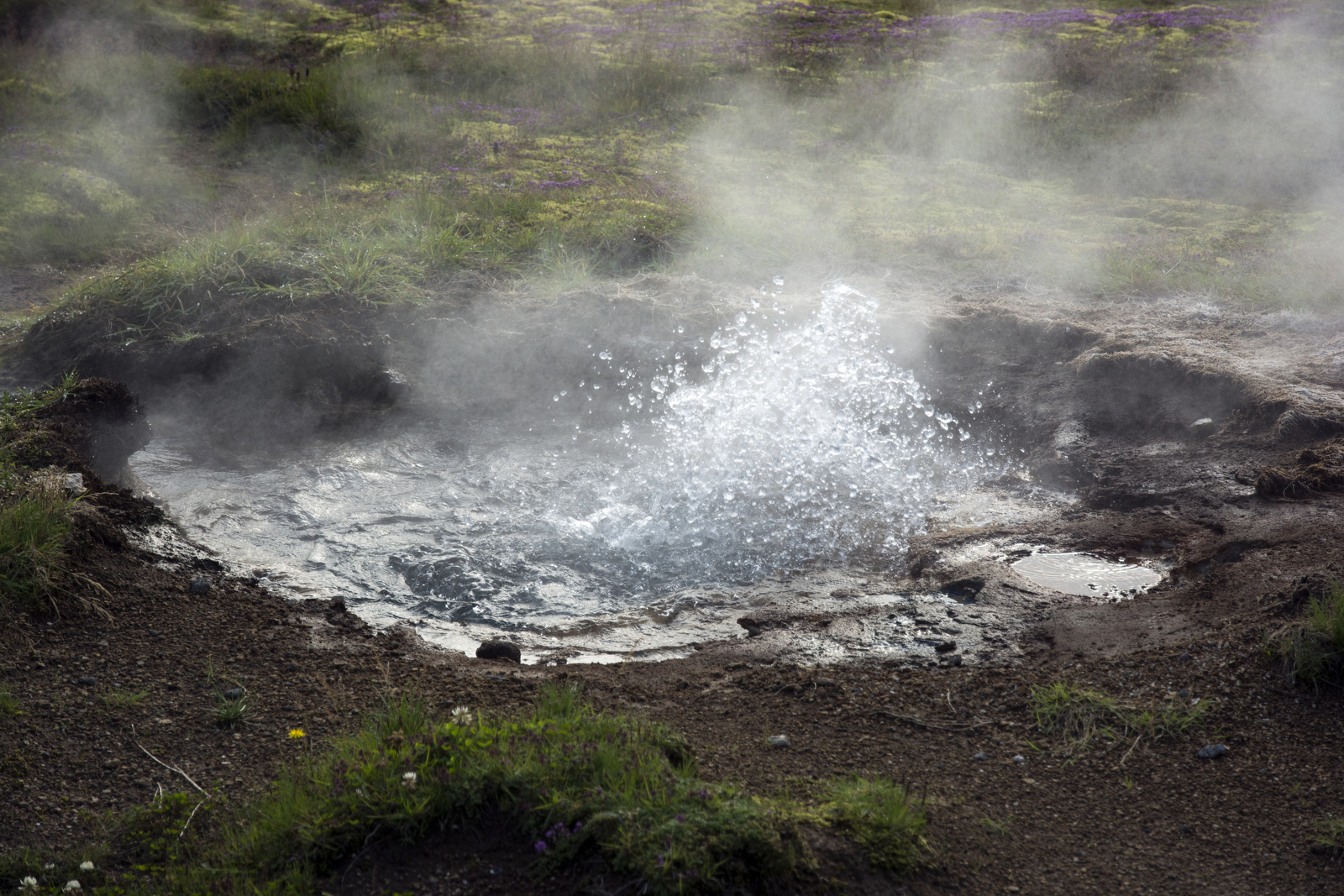 Вокруг гейзера много маленьких горячих источников. Это один из них