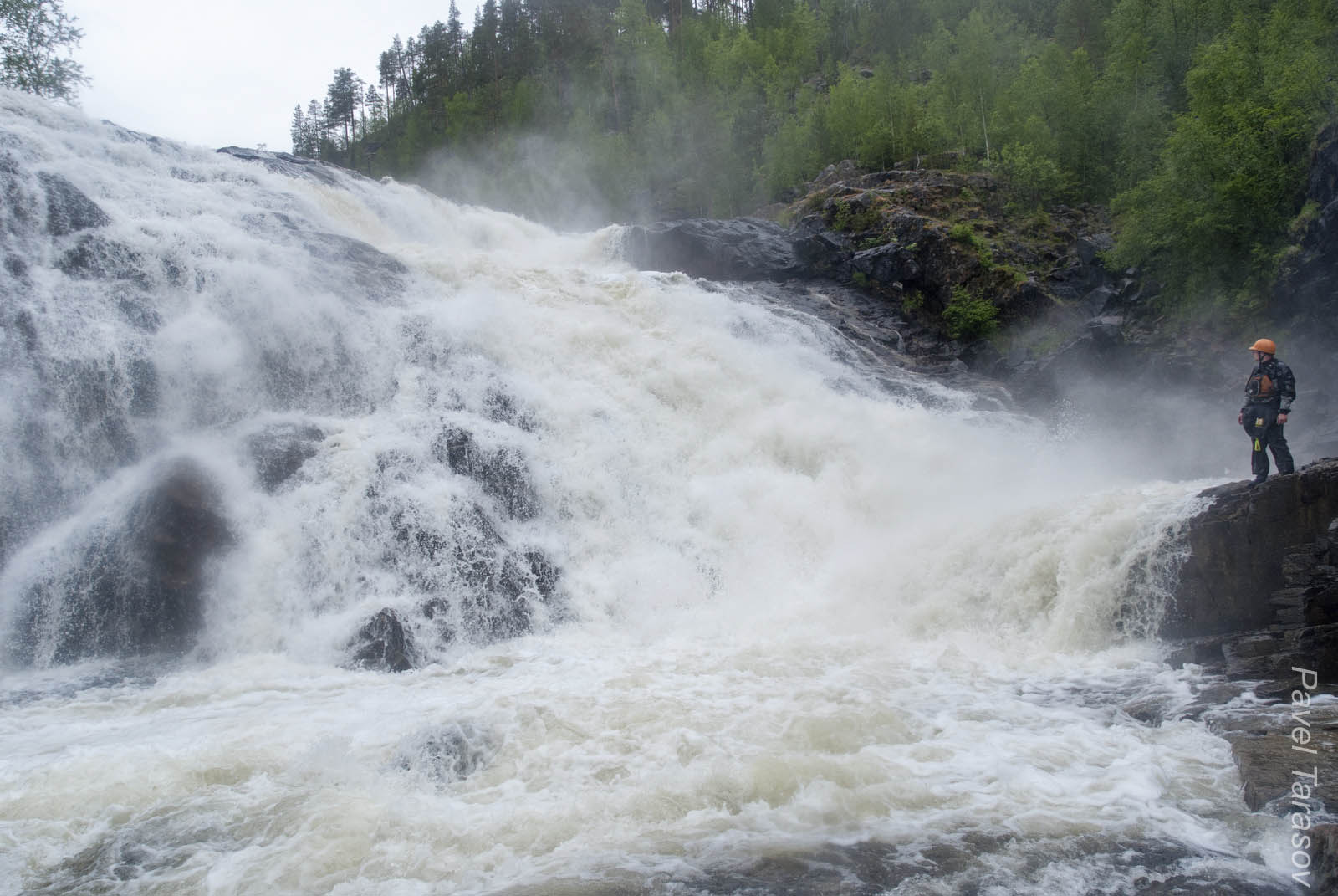 Никто так и не решился ее мочкануть!