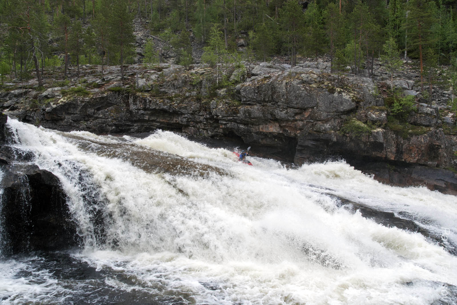 Райдер - Гриша