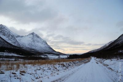 Грунтовая дорога на перевал
