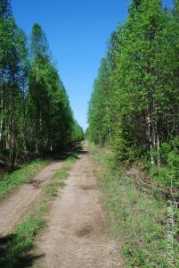 Просека железки