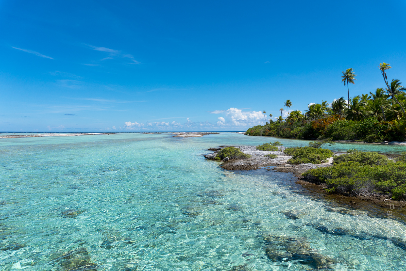 Отель на Южном канале Факаравы расположен на двух островах. Это - симпатичная лагуна между ними