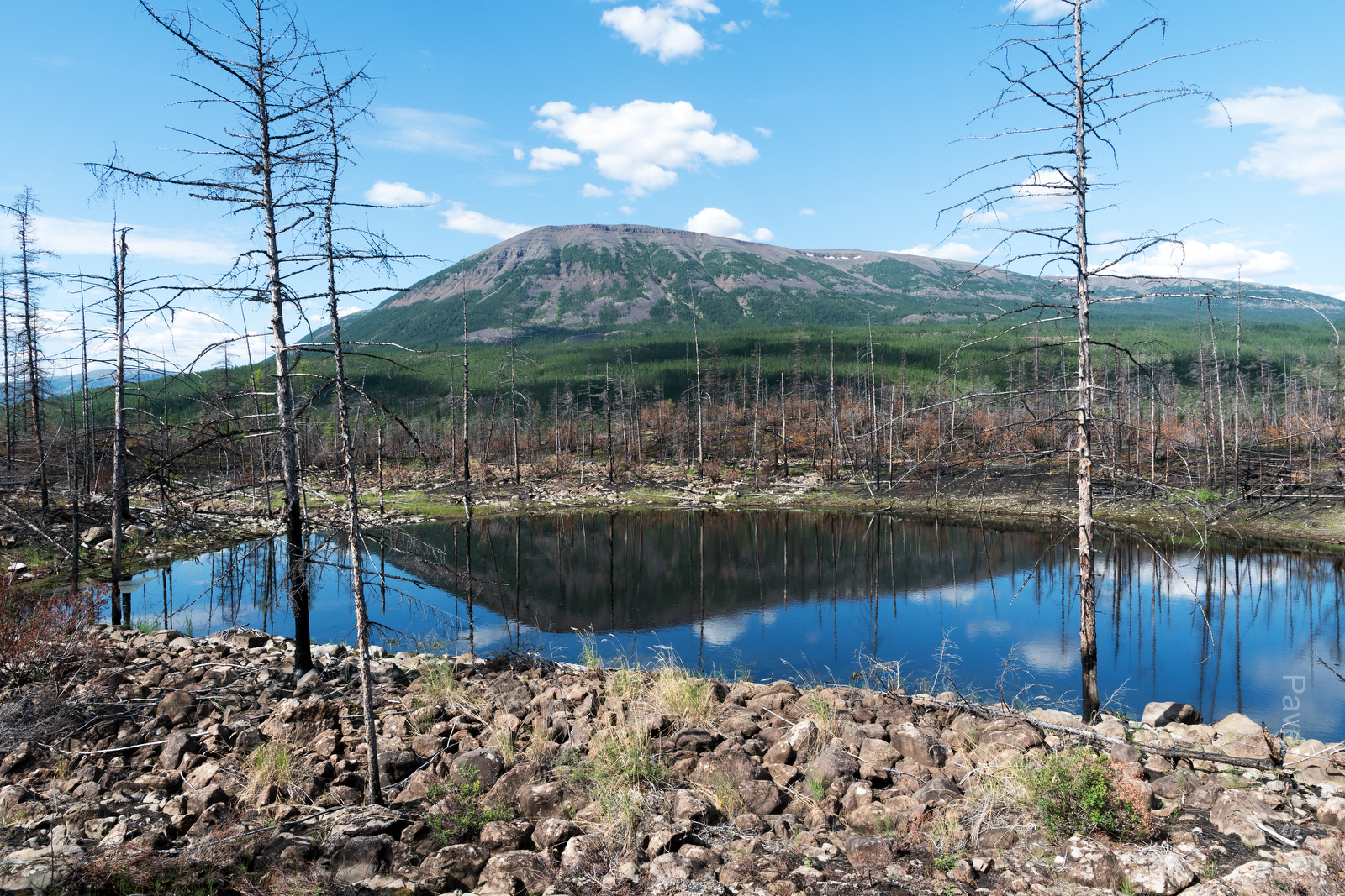 Озеро недалеко от стрелки Курейки и Яктали. Лес вокруг сгорел, кажется, в 2016м году.