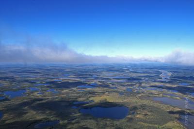 Тундра с вертолета