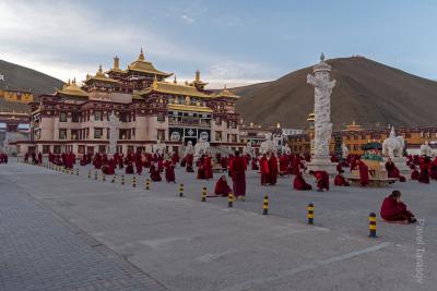 Занятия монахов