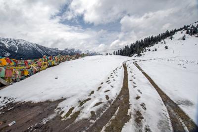 Следы на снегу