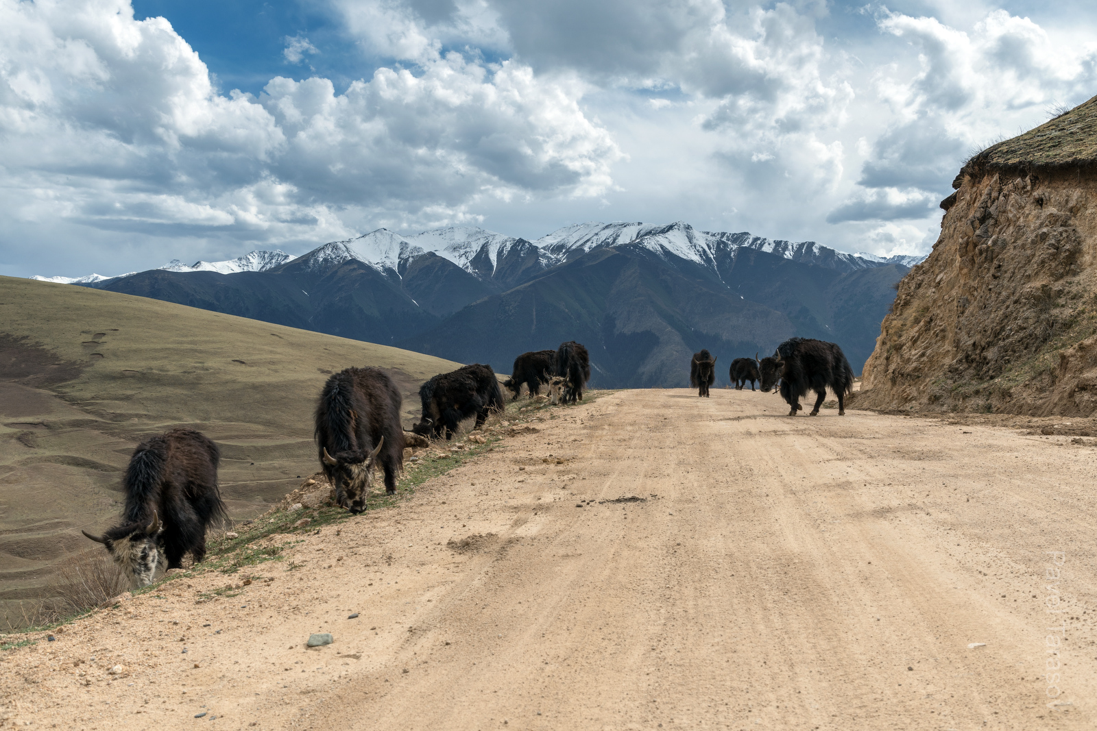 Горы находятся уже на территории Тибетского автономного округа. Туда, увы, нас не пустили